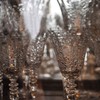 Steuben glass